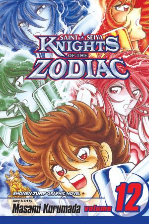 Cover of the book Knights of the Zodiac (Saint Seiya), Vol. 12 by CLAMP