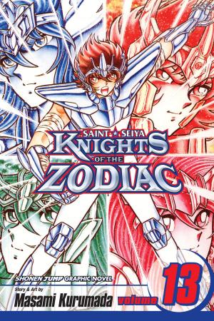 bigCover of the book Knights of the Zodiac (Saint Seiya), Vol. 13 by 