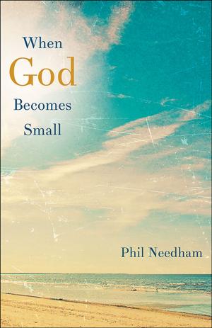 Cover of the book When God Becomes Small by William H. Willimon