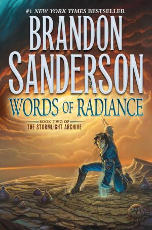 Cover of the book Words of Radiance by Ian McDonald