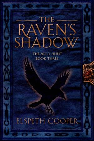 Cover of the book The Raven's Shadow by Chelsea Quinn Yarbro