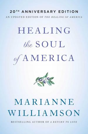 Book cover of Healing the Soul of America