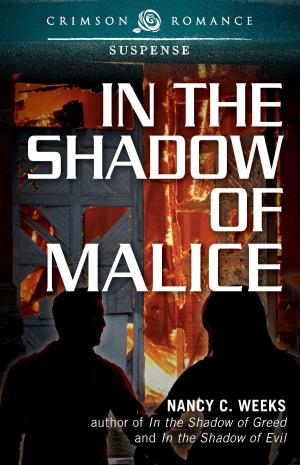 Cover of the book In the Shadow of Malice by Elizabeth Boyce
