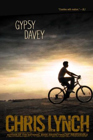 Book cover of Gypsy Davey