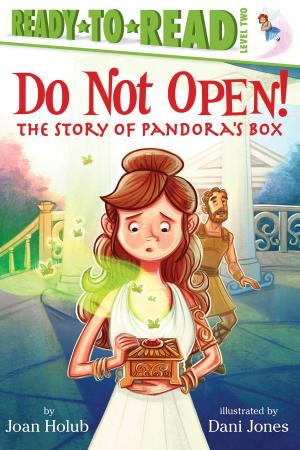 Cover of the book Do Not Open! by Rachel Dougherty