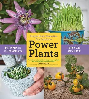 bigCover of the book Power Plants by 