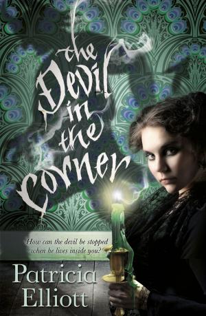 bigCover of the book The Devil in the Corner by 