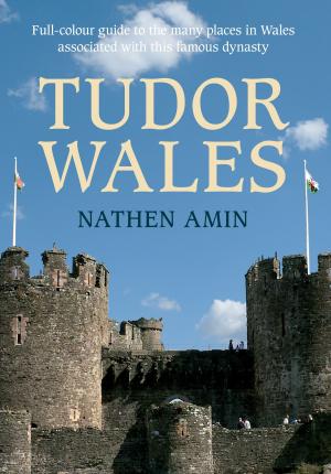 Book cover of Tudor Wales