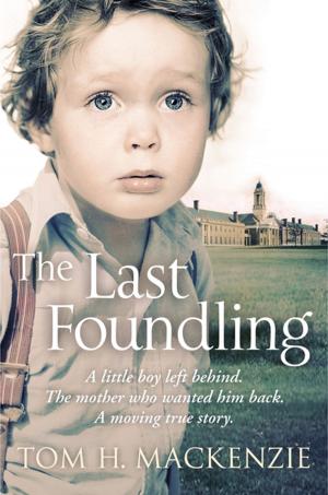 Cover of the book The Last Foundling by Elizabeth Laird
