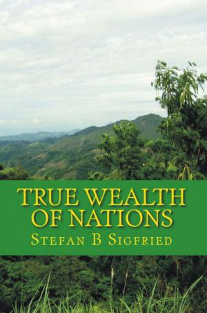 Cover of the book True Wealth of Nations by Yolandie Mostert