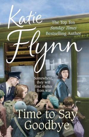Cover of the book Time to Say Goodbye by Julia Walkden