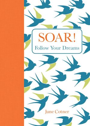 Cover of the book Soar! by Dana Simpson