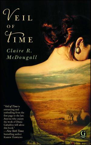 Cover of the book Veil of Time by Kristy Woodson Harvey