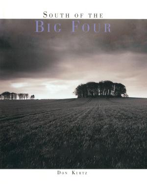Cover of the book South of the Big Four by Fani Marceau