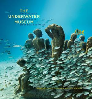 Cover of the book The Underwater Museum by Cathy Camper
