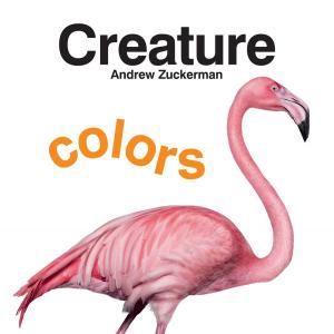 Cover of the book Creature Colors by Rebecca DiLiberto