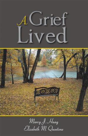 Cover of the book A Grief Lived by Cher Slater-Barlevi