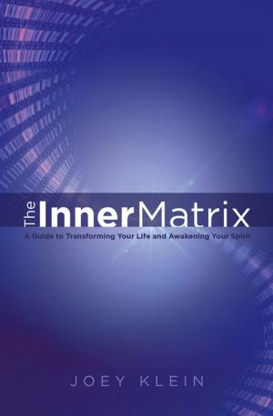 Cover of the book The Inner Matrix by Cathy Hunsberger