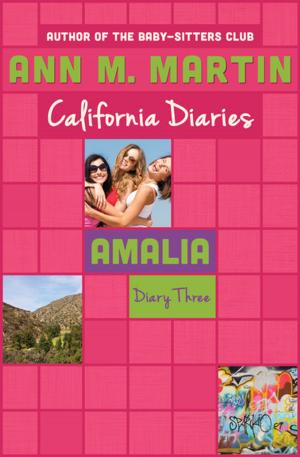 Book cover of Amalia: Diary Three