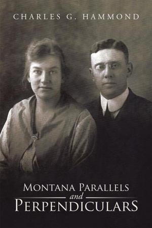 Cover of the book Montana Parallels and Perpendiculars by Mary O'connor