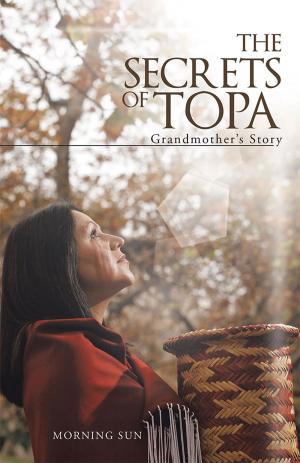 Cover of the book The Secrets of Topa by Bob Clapp