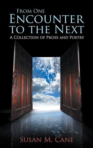 Cover of the book From One Encounter to the Next by Sheryl A. Keen