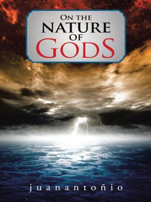 Cover of the book On the Nature of Gods by Brigit Byron Coons
