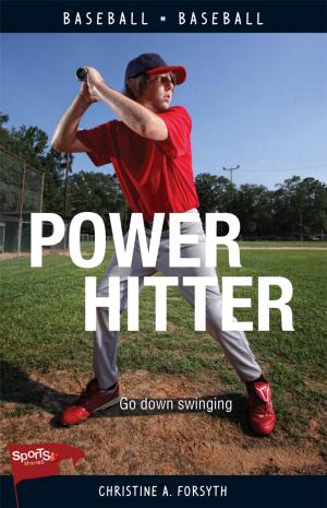 Book cover of Power Hitter
