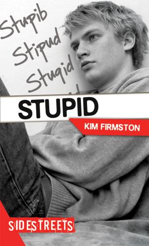 Cover of the book Stupid by Christine Hart
