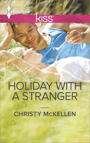 Cover of the book Holiday with a Stranger by Liz Tyner