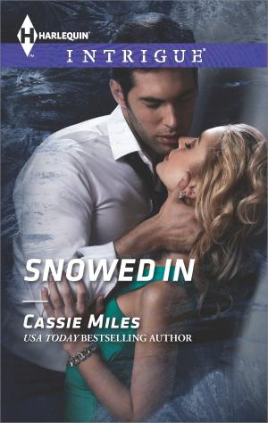 bigCover of the book Snowed In by 