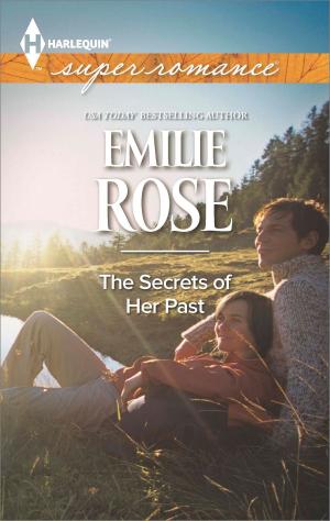 Cover of the book The Secrets of Her Past by Amie Denman