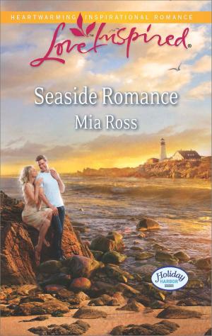 Cover of the book Seaside Romance by Karen Van Der Zee