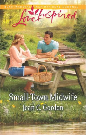 Cover of the book Small-Town Midwife by Teresa Edgerton