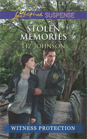 Cover of the book Stolen Memories by Terri Lane