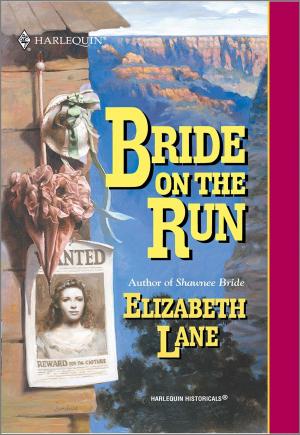 Cover of the book Bride on the Run by Patty Enrado