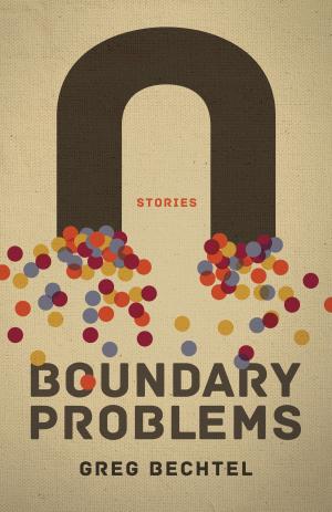 Cover of the book Boundary Problems by John Bart