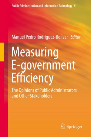 Cover of the book Measuring E-government Efficiency by 