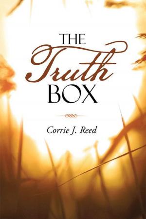 Cover of the book The Truth Box by Jean M. Henning