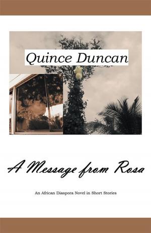 Cover of the book A Message from Rosa by David Castillo