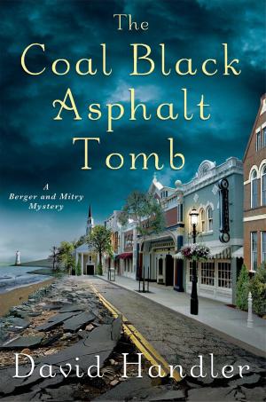 Cover of the book The Coal Black Asphalt Tomb by Steve Thomas, Donald A. Davis