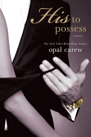 Cover of the book His to Possess by Judith Flanders