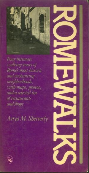 Cover of the book Romewalks by Michael Frayn