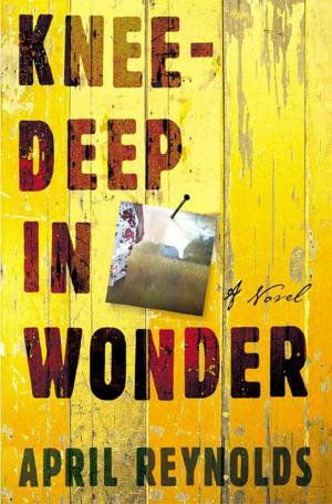 Cover of the book Knee-Deep in Wonder by Benjamin Black