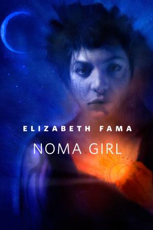 Cover of the book Noma Girl by Hanuš Seiner