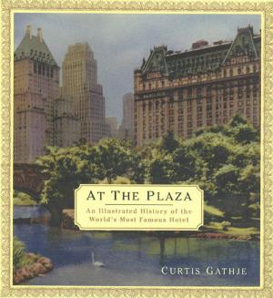 Cover of the book At the Plaza by Paul Young