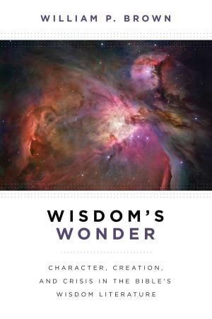 Cover of the book Wisdom's Wonder by Marilyn McEntyre