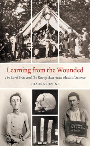Cover of the book Learning from the Wounded by Steven J. Diner