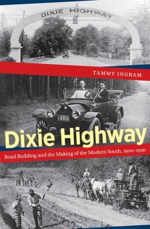 Cover of the book Dixie Highway by David F. Schmitz