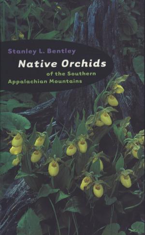 Cover of the book Native Orchids of the Southern Appalachian Mountains by Anthony E. Kaye